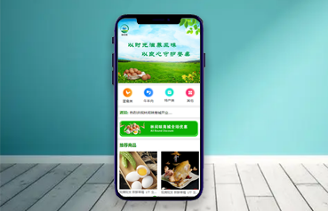 內蒙古網(wǎng)站建設,林間味