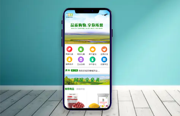 內蒙古網(wǎng)站建設,內蒙古蒙禮供應鏈管理有限公司